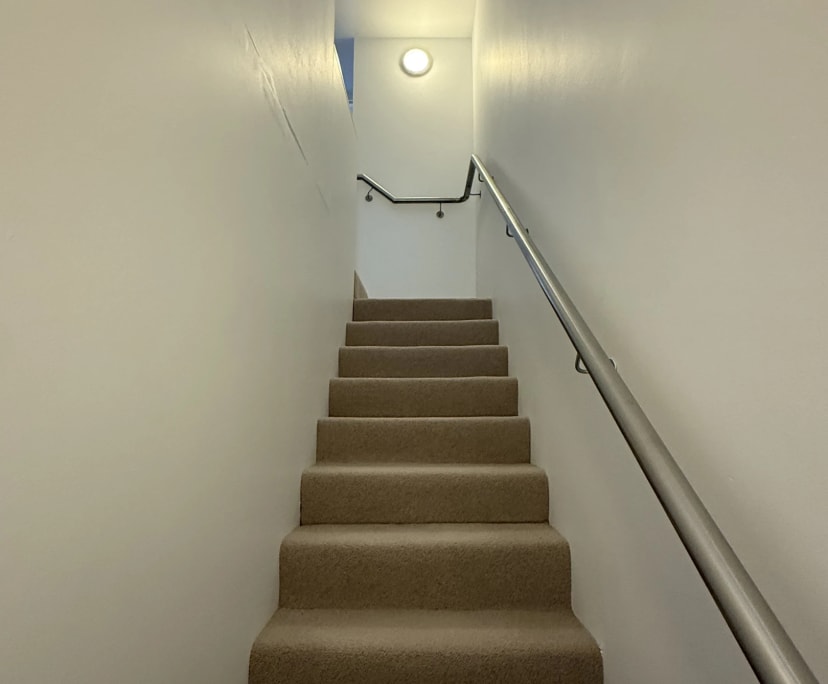 $625, Flatshare, 2 bathrooms, Bronte NSW 2024