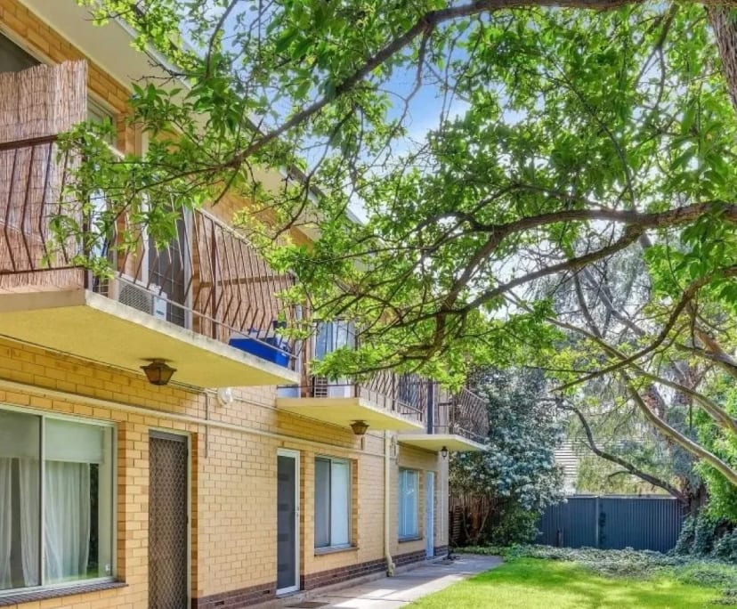 $300, Flatshare, 2 bathrooms, Goodwood SA 5034