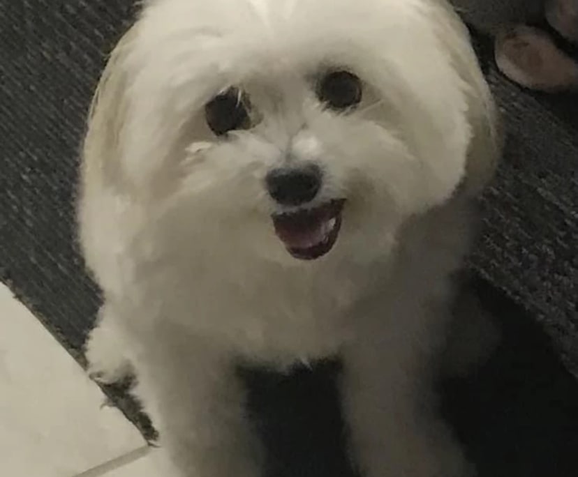 $450, Share-house, 2 bathrooms, Tweed Heads NSW 2485