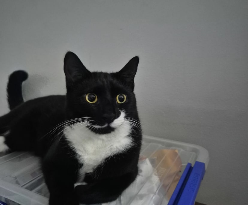 $430, Share-house, 3 bathrooms, Caringbah NSW 2229