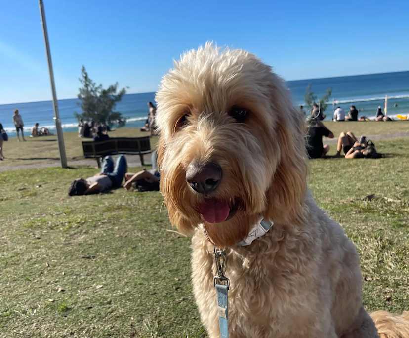 $300, Share-house, 3 bathrooms, Stafford QLD 4053