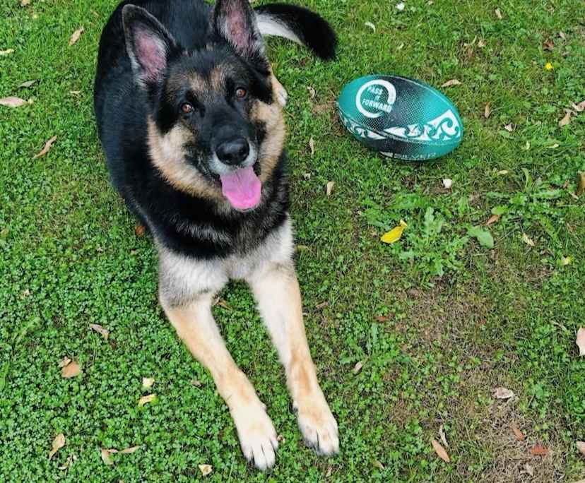 $300, Share-house, 3 bathrooms, North Melbourne VIC 3051