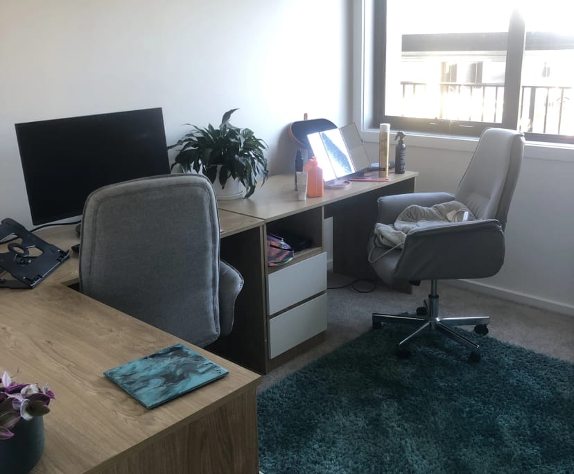 $250, Share-house, 2 bathrooms, Taylor ACT 2913