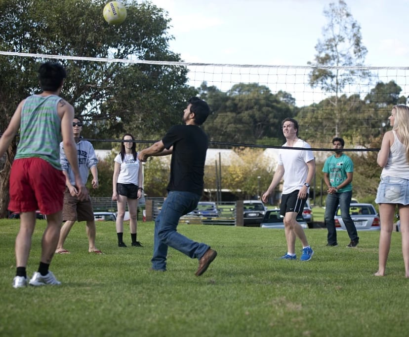 $386-402, Student-accommodation, 2 rooms, Marsfield NSW 2122, Marsfield NSW 2122