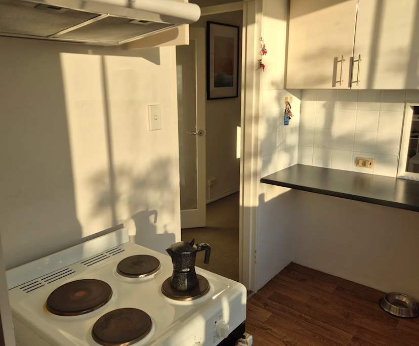 $490, Flatshare, 2 bathrooms, Rose Bay NSW 2029