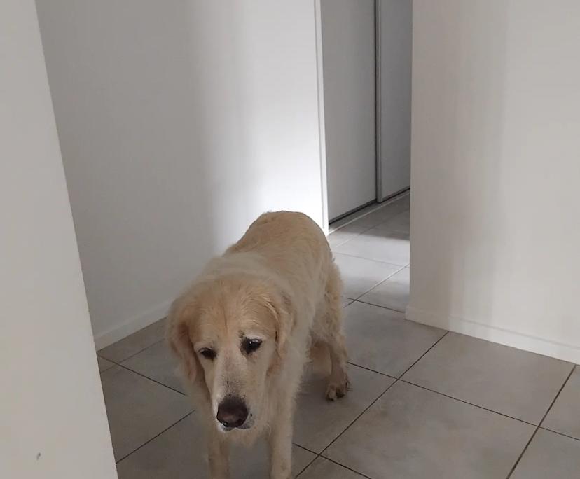 Room with own bathroom