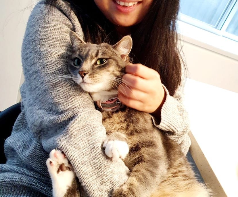 $250, Share-house, 5 bathrooms, Guildford NSW 2161