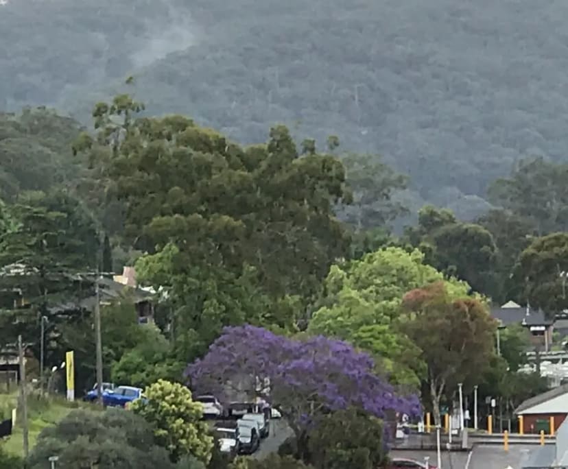 $320, Flatshare, 3 bathrooms, Gosford NSW 2250