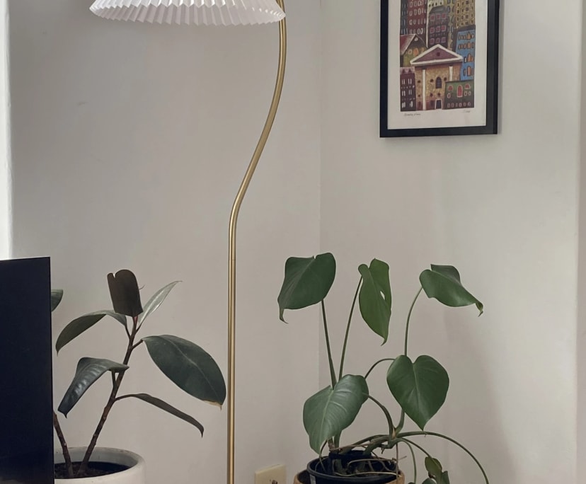 $600, Flatshare, 2 bathrooms, Manly NSW 2095