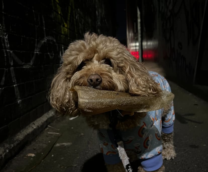 $350, Flatshare, 3 bathrooms, Collingwood VIC 3066