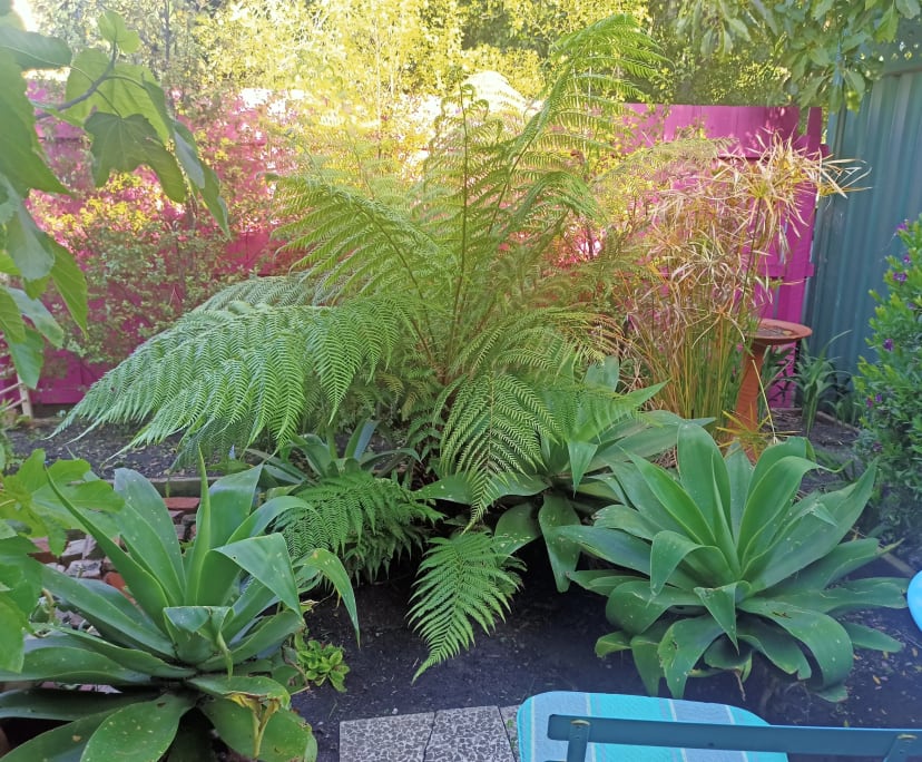 Furnished room granny flat for rent