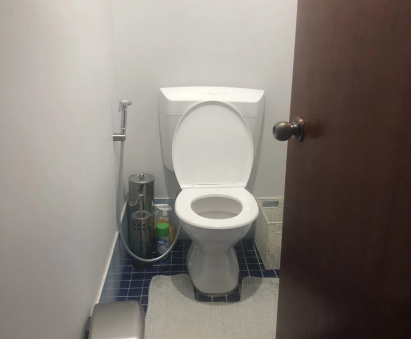 $300, Homestay, 5 bathrooms, Glenfield NSW 2167