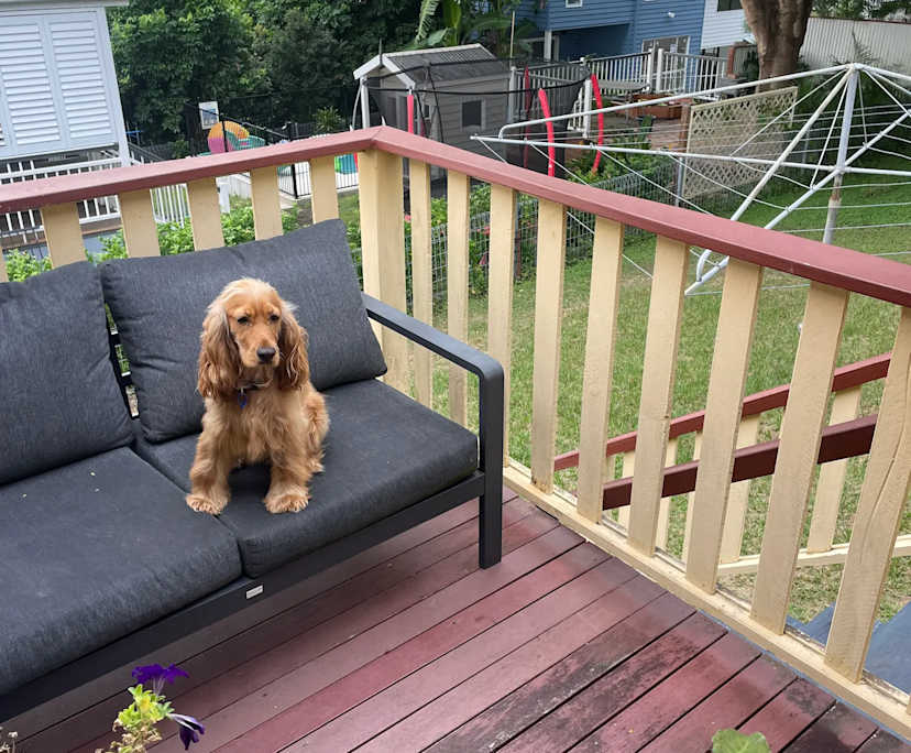 $210, Share-house, 3 bathrooms, Mitchelton QLD 4053