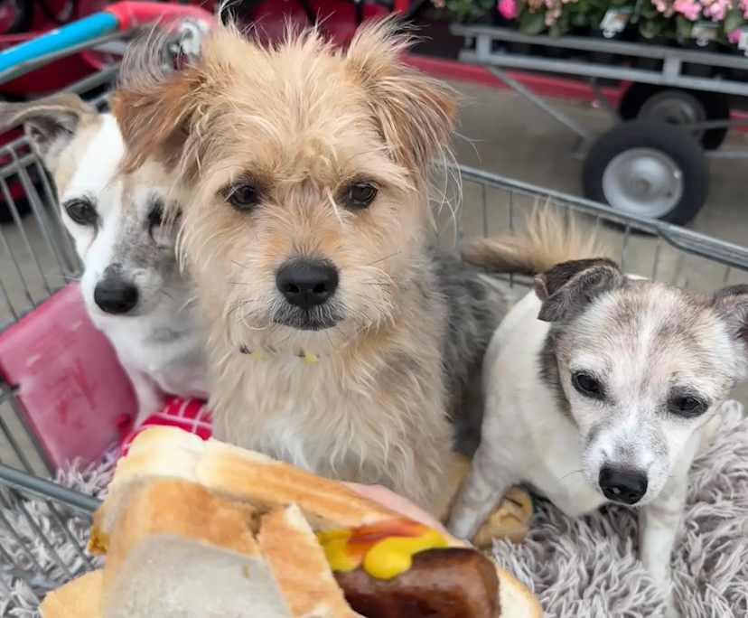 $310, Share-house, 4 bathrooms, Ulladulla NSW 2539