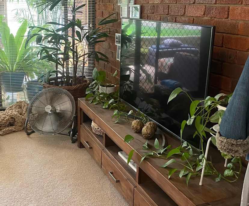 $300, Share-house, 3 bathrooms, Booragoon WA 6154