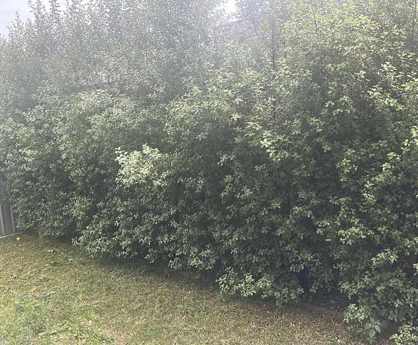 $300, Share-house, 4 bathrooms, Heidelberg Heights VIC 3081