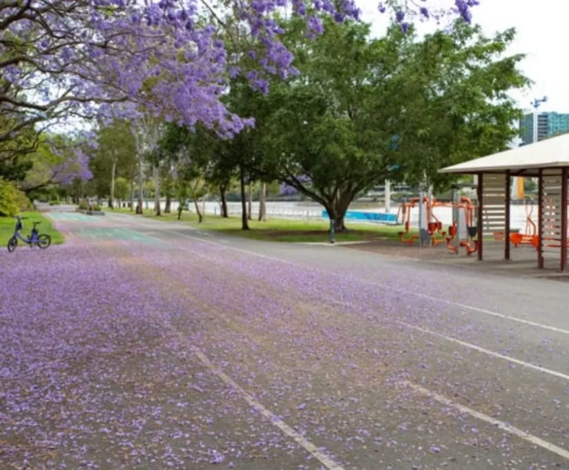 $485, Flatshare, 2 bathrooms, West End QLD 4101