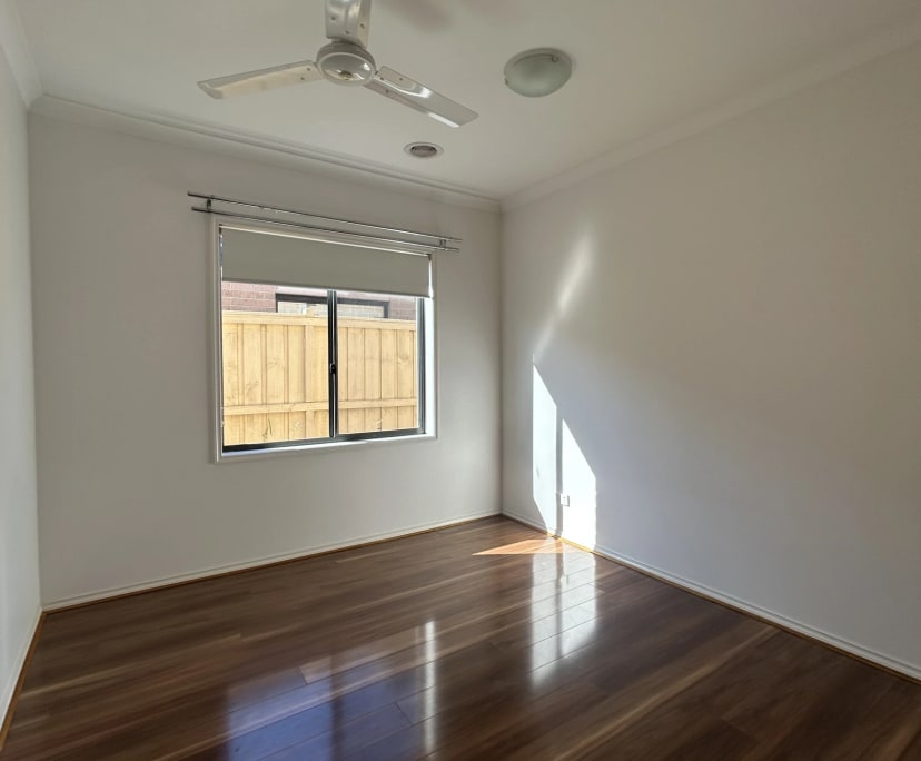 Room in a share house