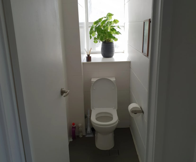 $300, Flatshare, 2 bathrooms, Main Beach QLD 4217