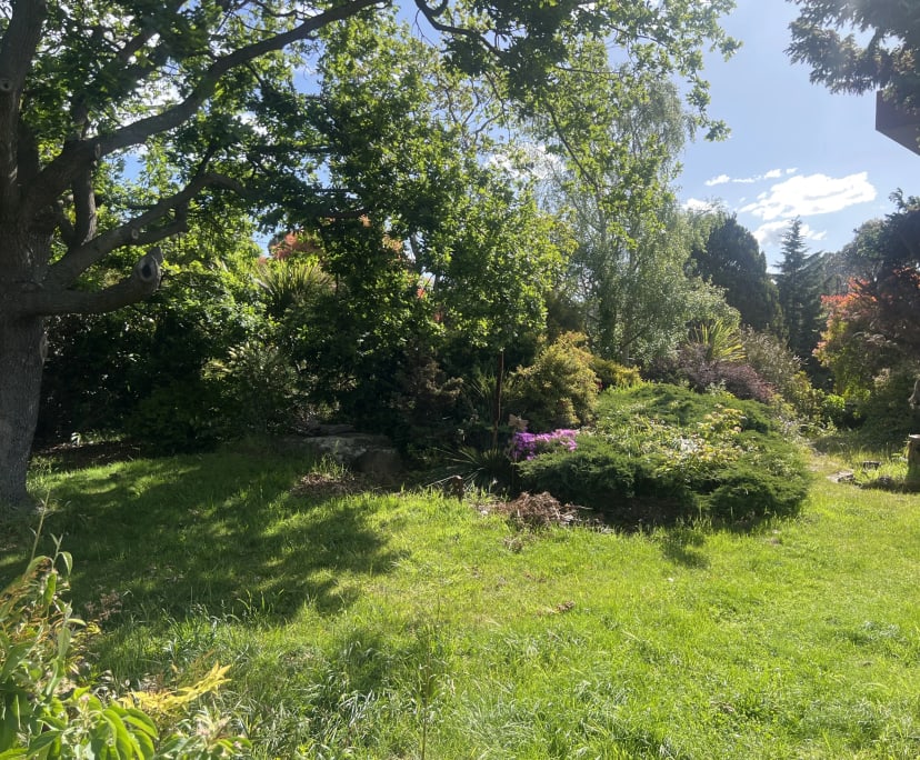 propertyImage