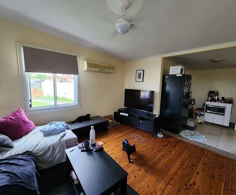 Room in a share house