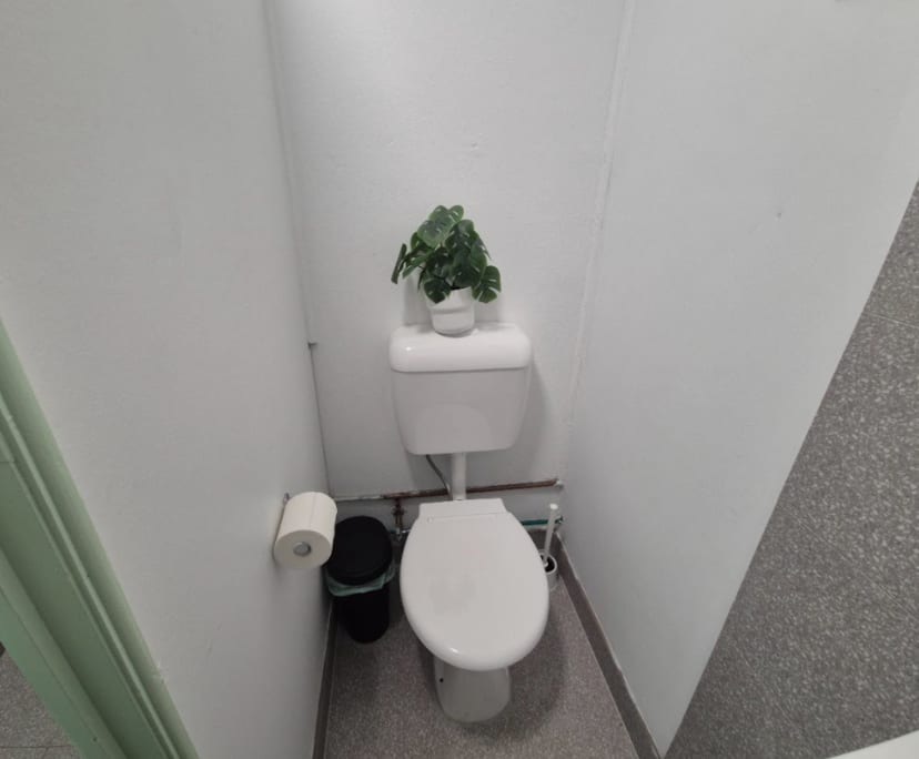 $290, Flatshare, 6 bathrooms, Rockdale NSW 2216