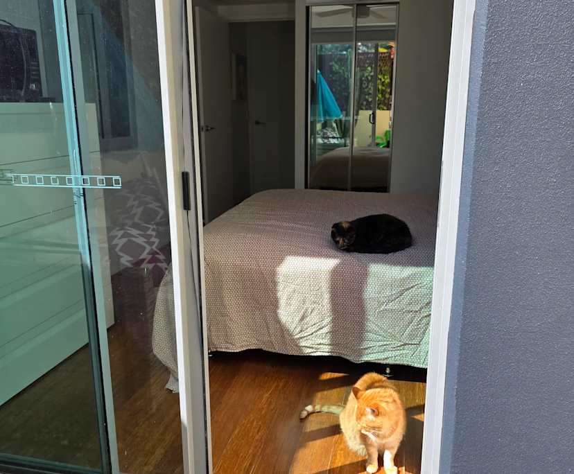 $500, Flatshare, 2 bathrooms, Broadbeach QLD 4218