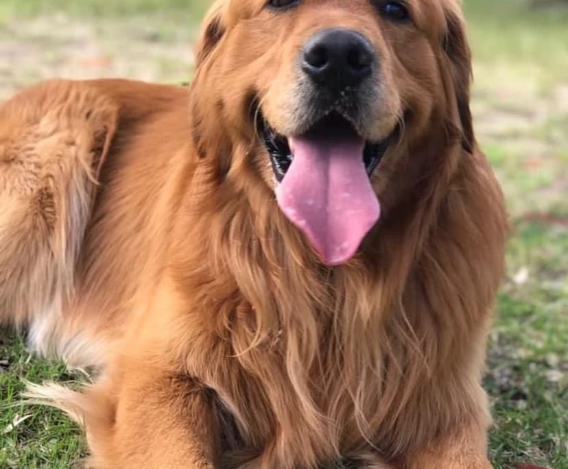 $450, Flatshare, 2 bathrooms, Port Melbourne VIC 3207