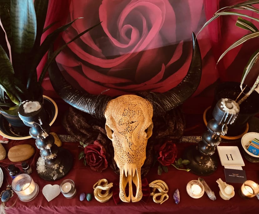 $300, Share-house, 3 bathrooms, North Gosford NSW 2250