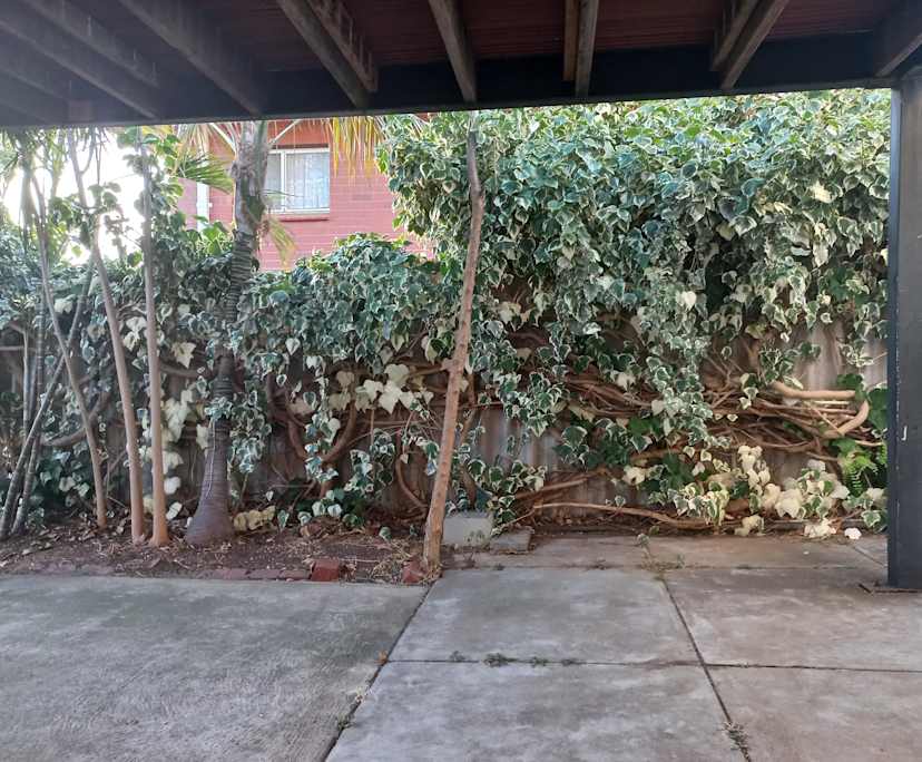 $210, Share-house, 4 bathrooms, Mount Lawley WA 6050