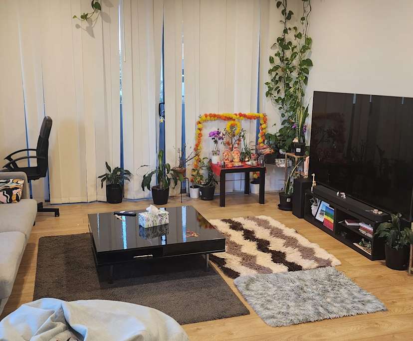 $450, Flatshare, 2 bathrooms, Strathfield NSW 2135