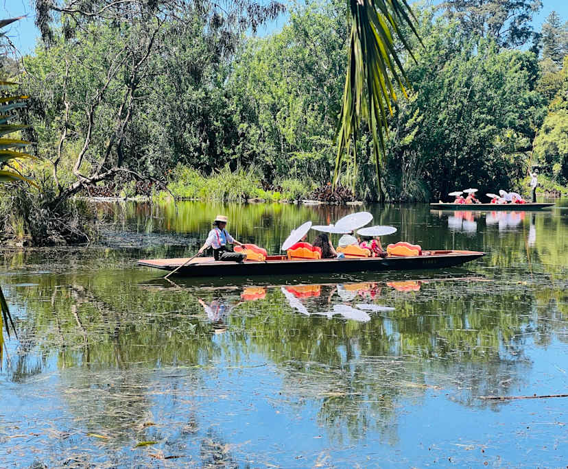 $400, Flatshare, 2 bathrooms, Southbank VIC 3006