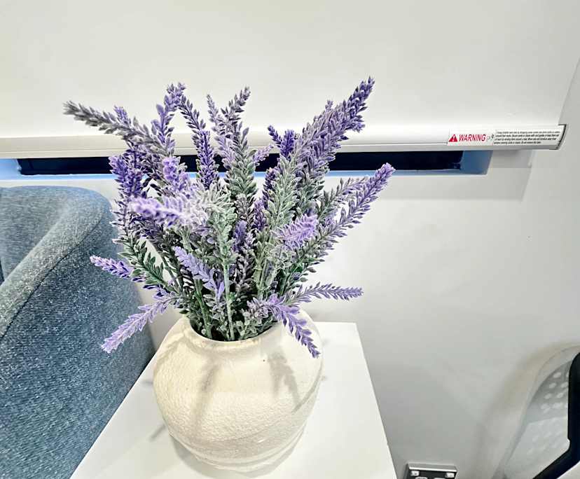 $1,200, Whole-property, 2 bathrooms, Mascot NSW 2020