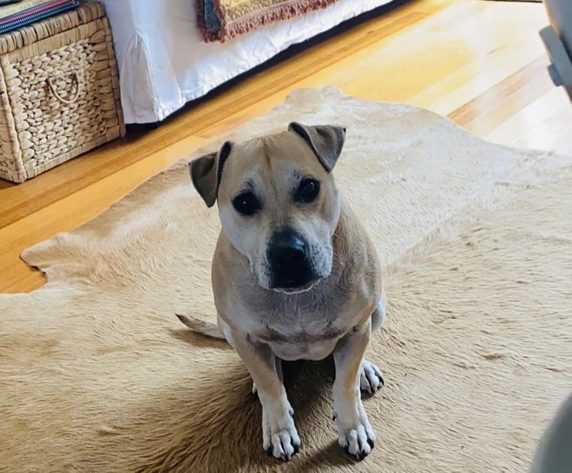 $280, Share-house, 2 bathrooms, Pascoe Vale VIC 3044