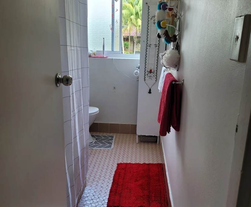 $400, Flatshare, 2 bathrooms, Manly NSW 2095