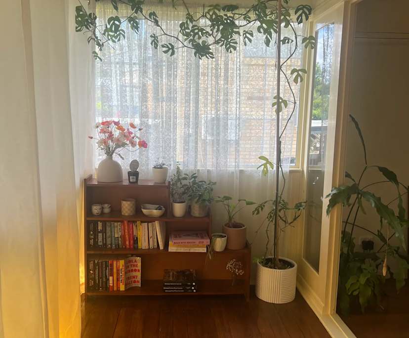 Whole property with 4 rooms for rent