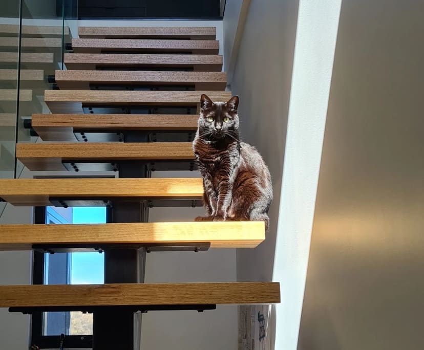 $290, Homestay, 4 bathrooms, Port Adelaide SA 5015