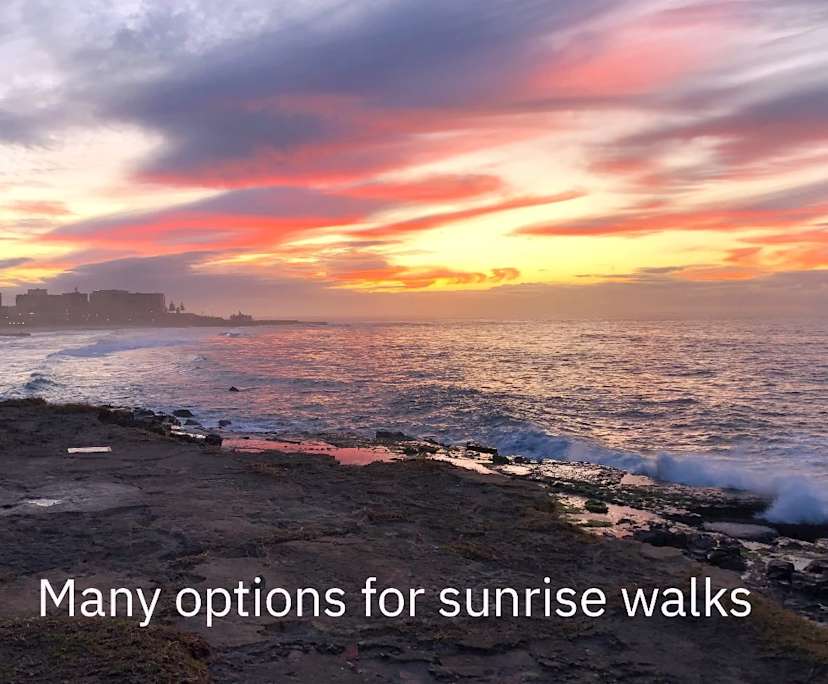 $160, Flatshare, 3 bathrooms, Newcastle NSW 2300