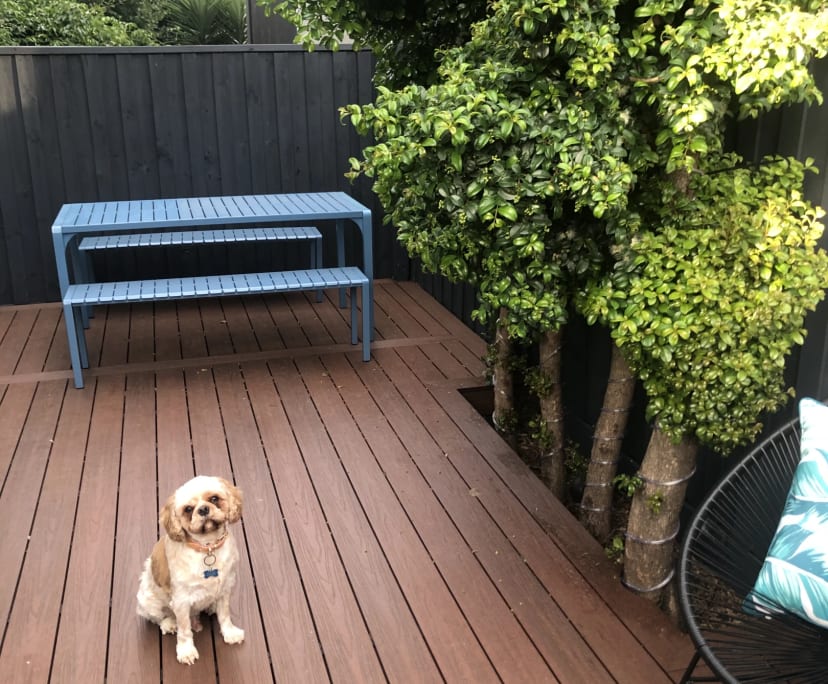 Furnished room with own bathroom