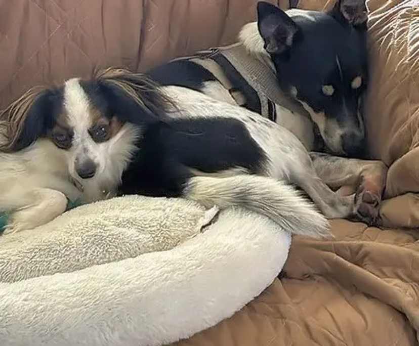 $200, Share-house, 4 bathrooms, Belvedere QLD 4860