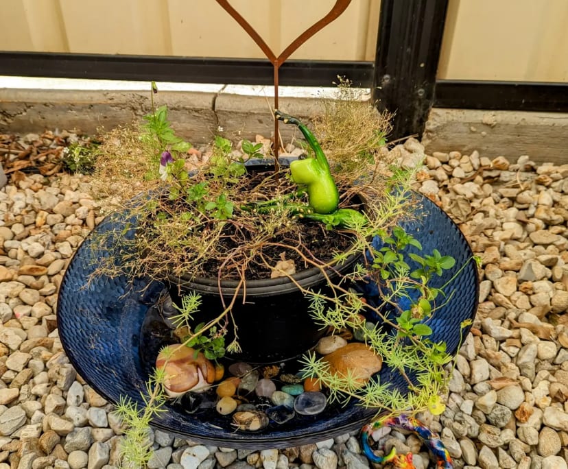 $210, Student-accommodation, 1 bathroom, Melton West VIC 3337