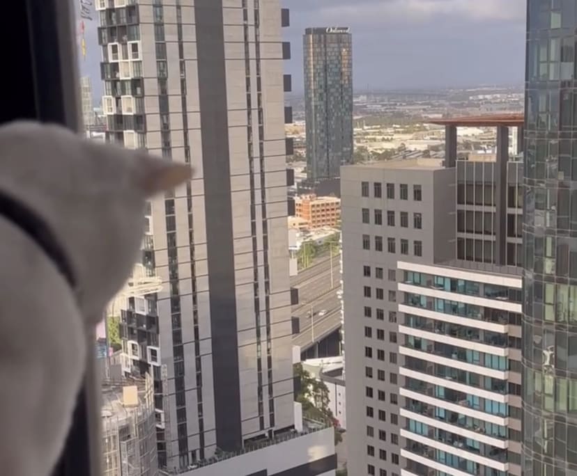 Furnished room in a flatshare