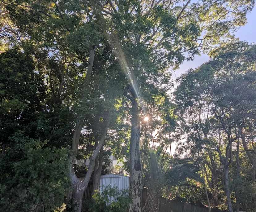 $300, Share-house, 3 bathrooms, Thirroul NSW 2515