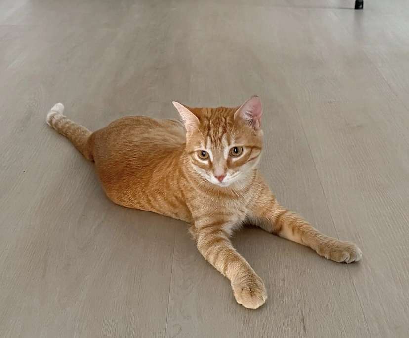 $255, Share-house, 4 bathrooms, Reynella SA 5161