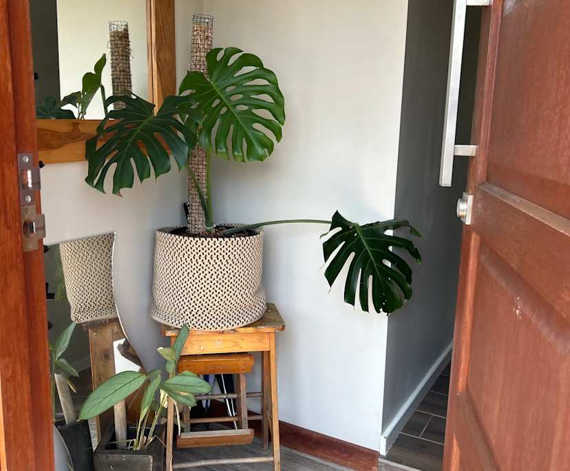 $300, Share-house, 2 bathrooms, Mayfield East NSW 2304