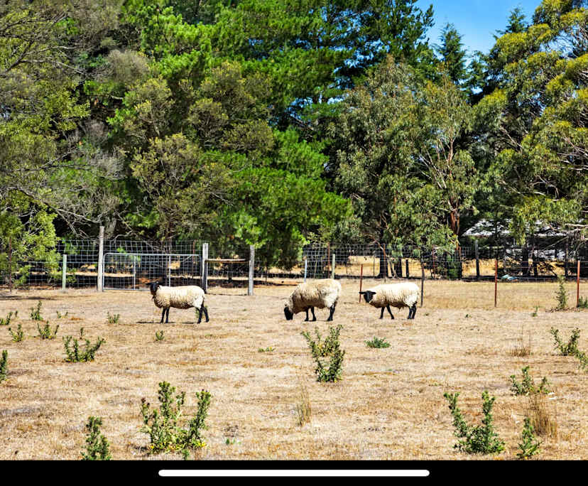 $150, Share-house, 3 bathrooms, Mount Doran VIC 3334