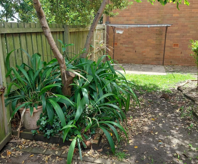 Room for Rent in Newcastle East, Newcastle 225, F...