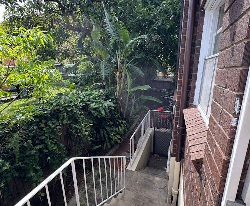 $355, Share-house, 3 bathrooms, Ashfield NSW 2131