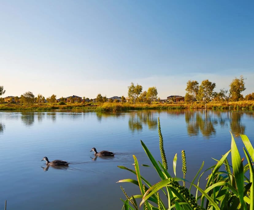 $250, Share-house, 3 bathrooms, Manor Lakes VIC 3024