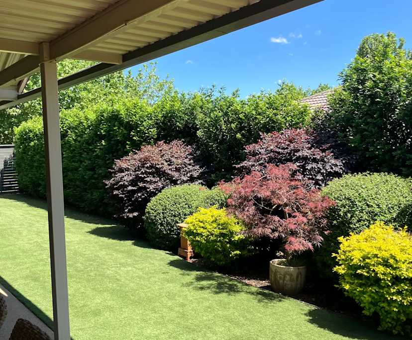 $280, Share-house, 4 bathrooms, Muswellbrook NSW 2333